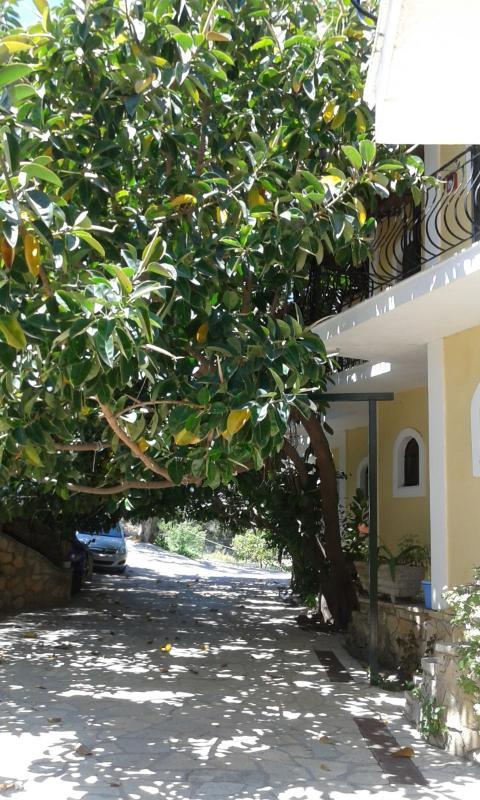 Studio Timotheos Marathiás Exterior foto